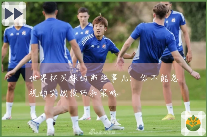 世界杯买球的那些事儿：你不能忽视的实战技巧和策略