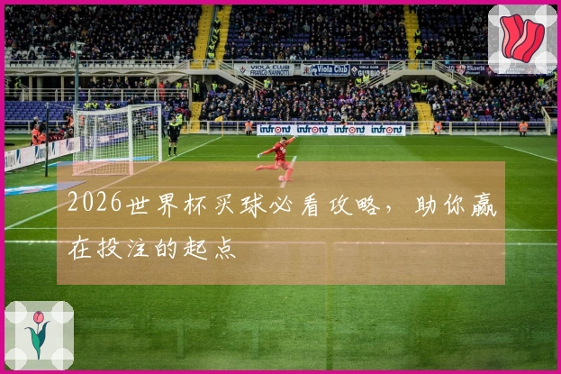 2026世界杯买球必看攻略，助你赢在投注的起点