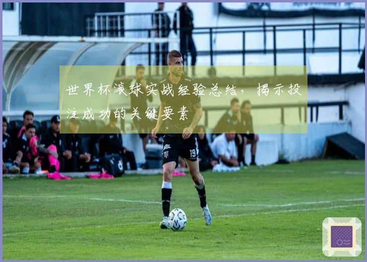 世界杯滚球实战经验总结，揭示投注成功的关键要素