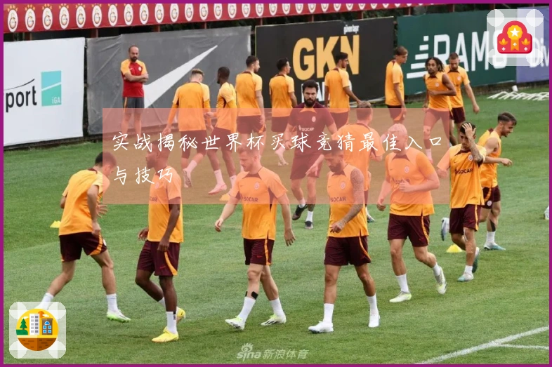实战揭秘世界杯买球竞猜最佳入口与技巧