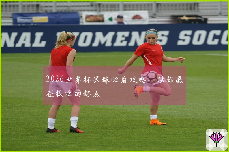 2026世界杯买球必看攻略，助你赢在投注的起点