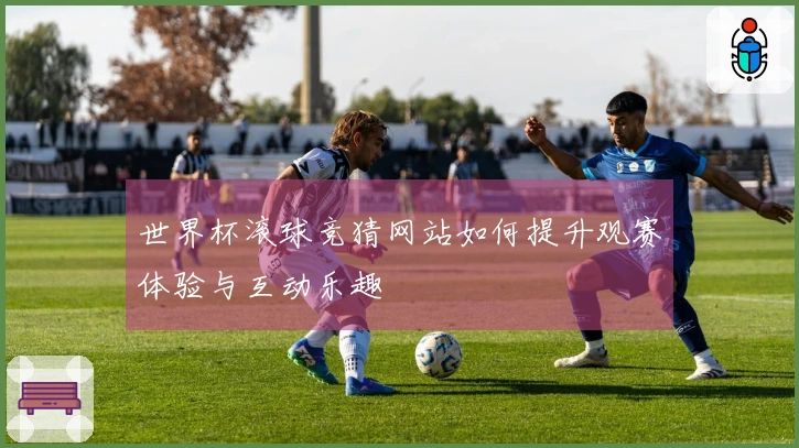 世界杯滚球竞猜网站如何提升观赛体验与互动乐趣