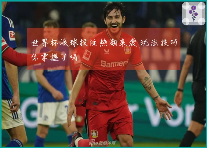 世界杯滚球投注热潮来袭 玩法技巧你掌握了吗