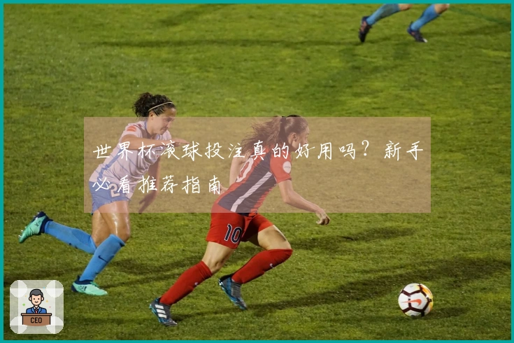世界杯滚球投注真的好用吗？新手必看推荐指南