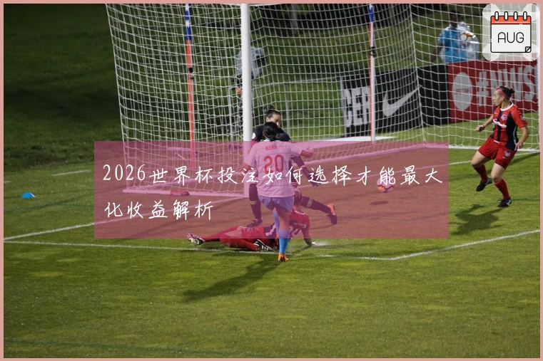2026世界杯投注如何选择才能最大化收益解析