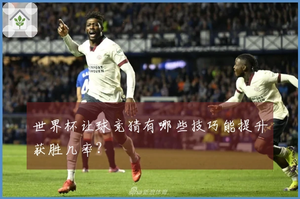 世界杯让球竞猜有哪些技巧能提升获胜几率？
