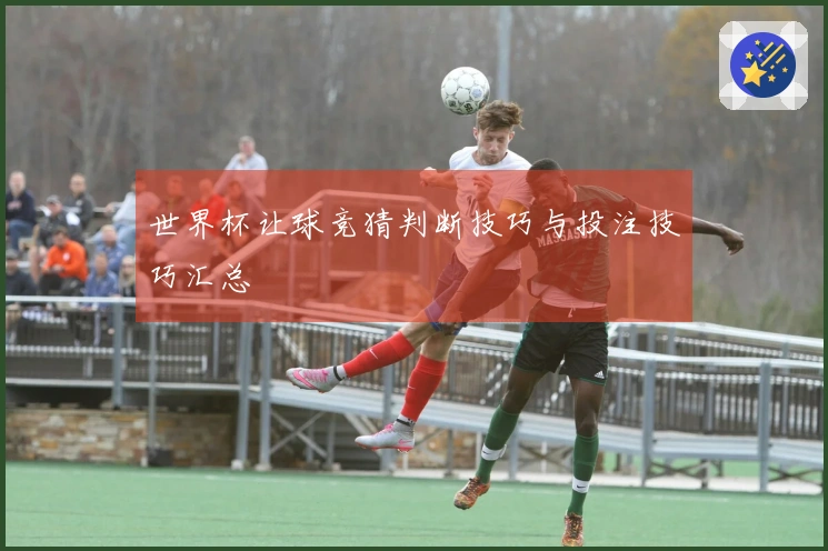 世界杯让球竞猜判断技巧与投注技巧汇总