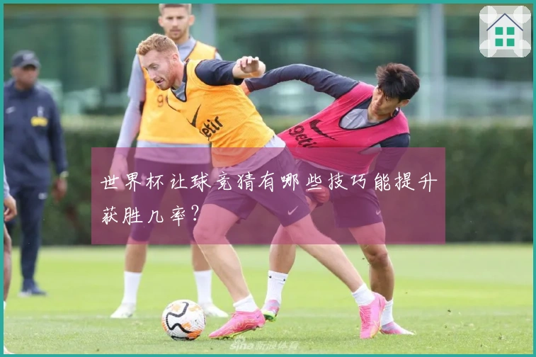 世界杯让球竞猜有哪些技巧能提升获胜几率？