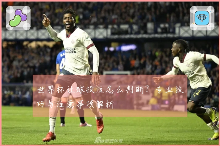 世界杯让球投注怎么判断？专业技巧与注意事项解析